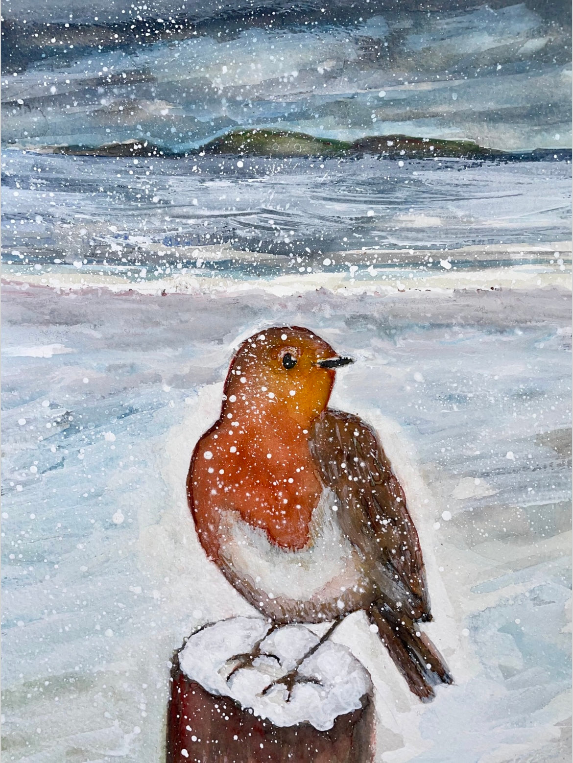 Christmas Card Bundle ‘E’ - 5 x ‘The Robin’s Return’ - Festive Coastal Birds Card Pack