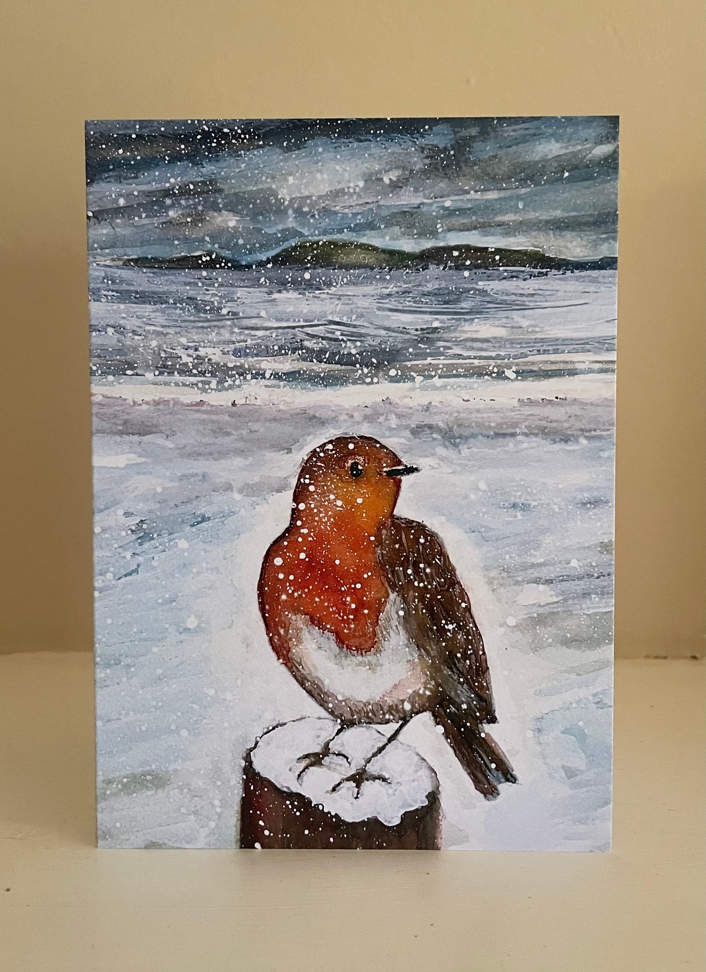 Christmas Card Bundle ‘E’ - 5 x ‘The Robin’s Return’ - Festive Coastal Birds Card Pack